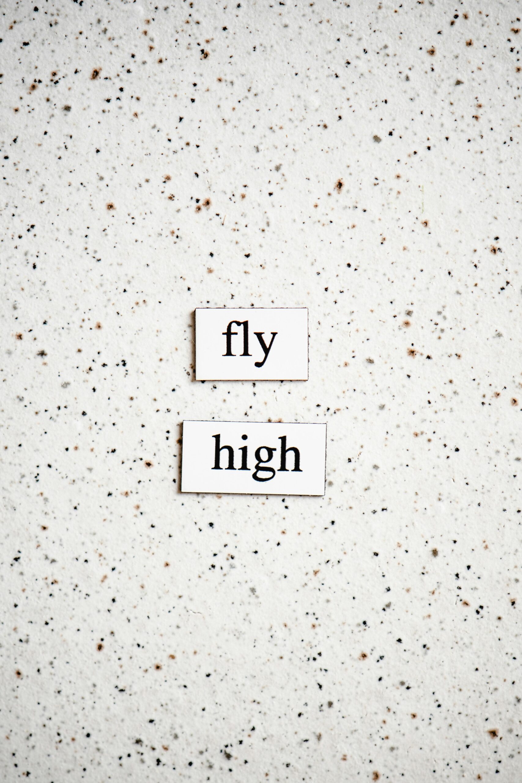 Inspirational text 'fly high' on a speckled background, symbolizing ambition.